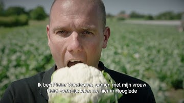 ZEG, KEN JIJ DE BLOEMKOOLMAN?
