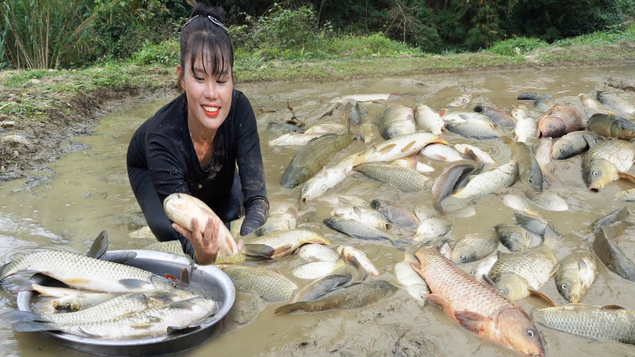Lucky girl Encountered a school of wild fish on the way.  Make a simple trap to catch them