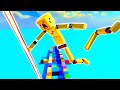 Dangerous road to tease Ragdolls - Fun with Ragdolls