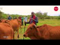 MAA-TALK_"Elmatapato Ootimishira Kanchori Mee Nanu"GOVERNOR OLE LENKU PART ONE