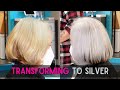 FROM GOLD TO SILVER HAIR | SILVER & GRAY HAIR | SILVER TRANSFORMATION
