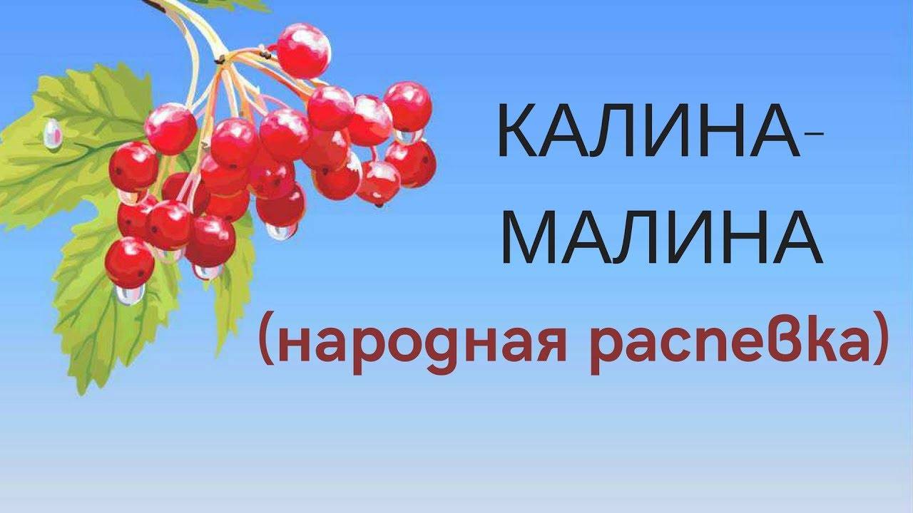 Калина малина кемерово официальный