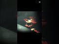 all my fellas ale to fnaf #fnaf #fnaf2 #fnafmovie #viral #meme
