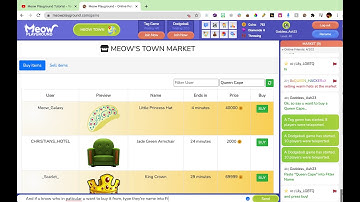 How to use Meow Playground