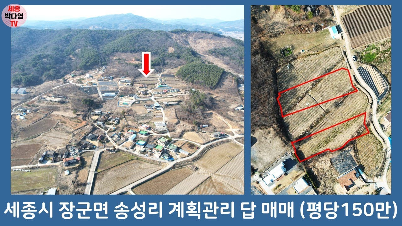 세종시 토지매매 - 장군면 송문리 계획관리 답 - 평당150만원 (벚꽃_507)