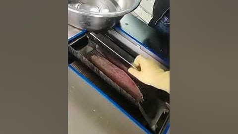 Automatic Fish Fillet Machine
