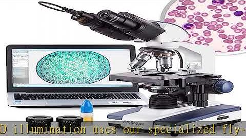 AmScope - 40X-2500X LED Digital Binocular Compound Microscope with 3D Stage + 0.3 MP USB Camera