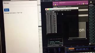 Web Socket with Touch Designer