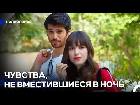 Самые Любимые Сцены #19: Самый Особенный Человек Для Ферита - Полнолуние