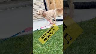 Tune Time With Winnie