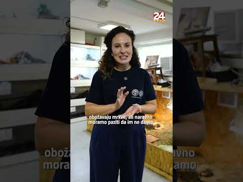 Veterinarski fakultet ima svoju Gmazaru: 'Naša iguana Đurđa obožava salate i paradajz'