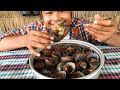 Cooking Turbo Snails Recipe - Cooking Snail for Food Eating delicious