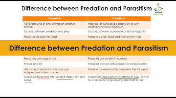 Difference between Predation and Parasitism | Ecology