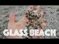 Glass Beach + Skateboarding Dog!