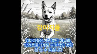 강아지풀의 효능 #건강 #음식 #영양식 #안구건조증 #지식 #정보  #피부질환