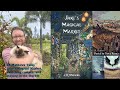 JR Mathews author of Jake's Magical Market and Portal to Nova Roma