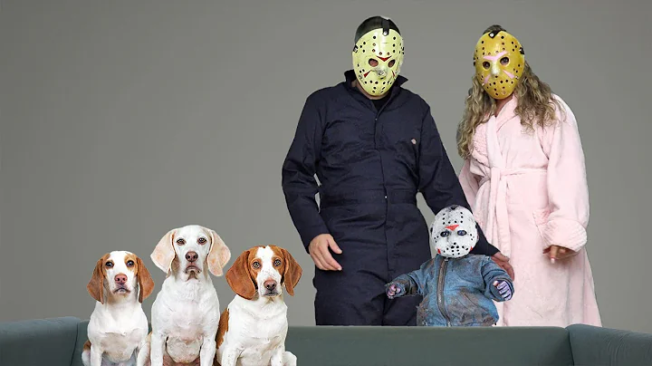 Dogs vs Baby Jason & Voorhees Family! Funny Dogs M...