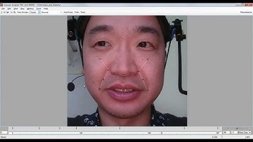 Cheek Tracking in Faceware Analyzer