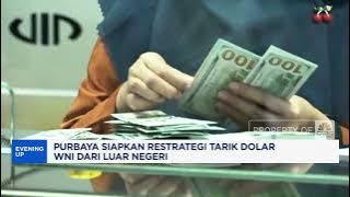 Purbaya Siapkan Strategi Tarik Dolar WNI dari Luar Negeri