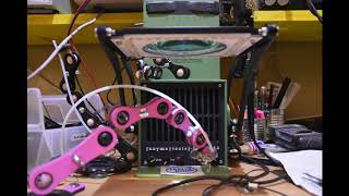 A N Y M A Krabbenarm