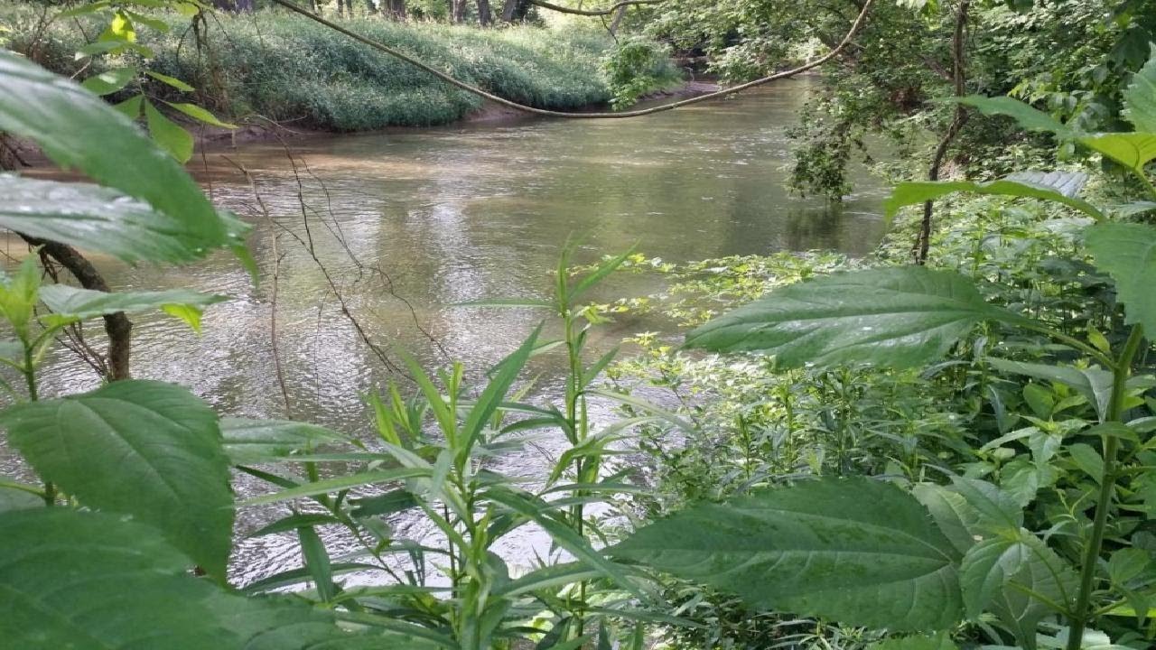 GLENCOE ROAD, SPARKS, MD Presented by Brian Van Pelt.