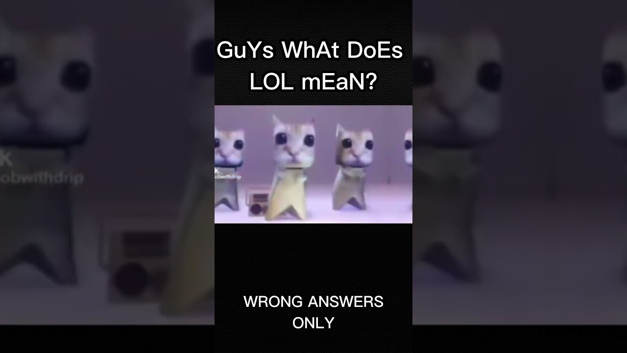 gUyS WhAt DoEs LOL MeAn?!?! meme #meme #memes #viral's Banner