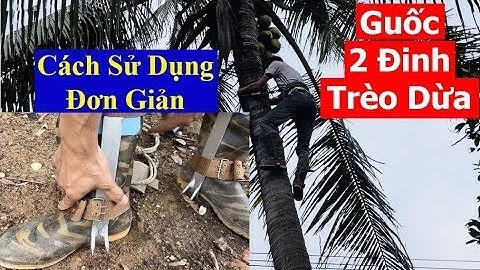TEST Thực Tế Dụng Cụ Trèo Cây Giá Rẻ - Guốc Trèo Cây 2 Đinh + Dây Đai Bảo Hiểm | An Toàn - Hiệu Quả