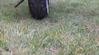 Zephyr Wheel Alignment