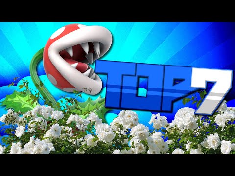 Top 7: Planter | Son-Michael