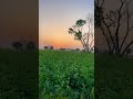 Aayat Arif Tajdar E Haram New Kalam Ramadan Special Nasheed Zaeem Haider Naat Ramadan Aayat Arif Tajdar E Haram New Kalam Ramadan Special Nasheed Zaeem Haider Naat Ramadan