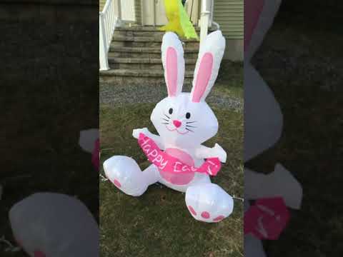 camera iphone 8 plus apk Easter display