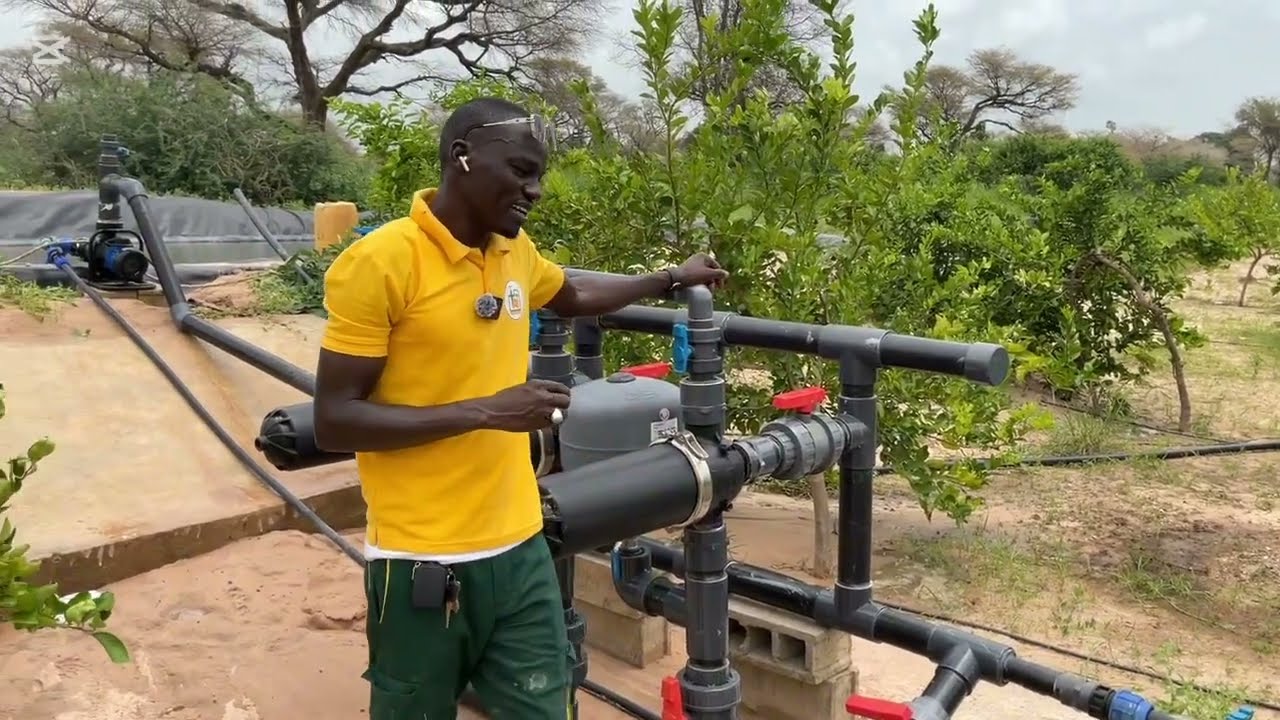 Installation de système d’irrigation  goutte à goutte + station de pompage 