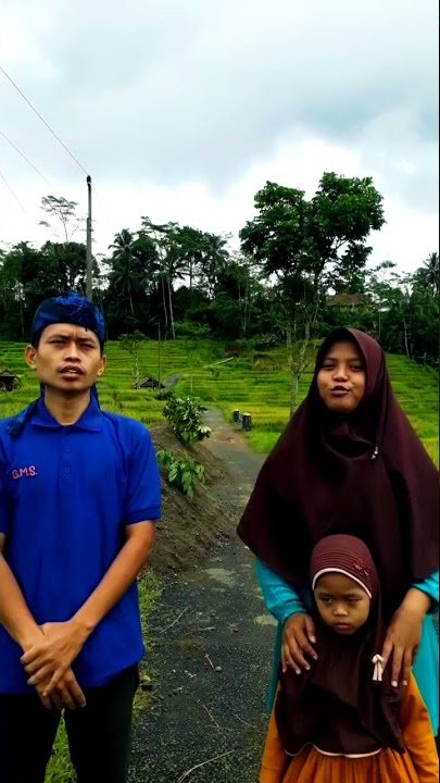 Sawah ini Sangat Indah , Pemandangan Alam Pedesaan Luar Biasa