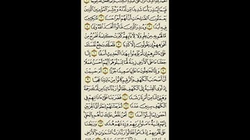 تلاوة مباركة من سورة الكهف.. راحة للقلب ودواء للهم 🌸بدون حقوق طبع ونشر 