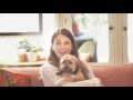 Sutton Foster and her Dachshund Yorkie Puppy - Think Adoption First (Petco)