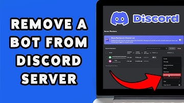 How To Remove A Bot From Discord Server 2024 | Guide To Managing Bots On Discord Server