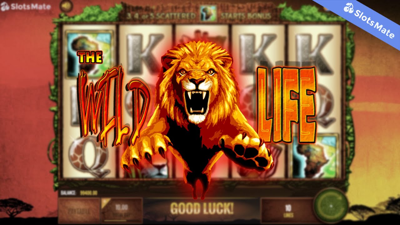 The Wild Life Slot by IGT Gameplay (Desktop View)