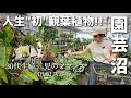 観葉植物"沼"にハマる主婦モニタリングが面白いDay!!