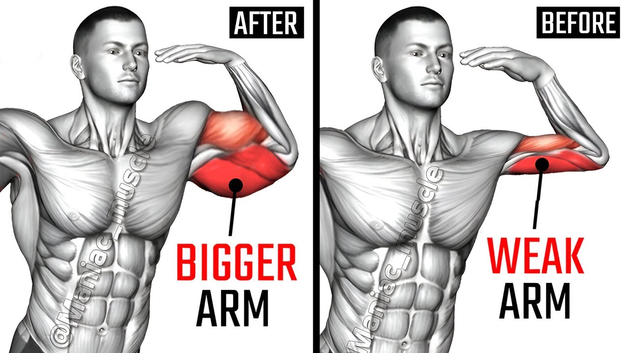12 Best Biceps and Triceps Exercises for Bigger Arms AT GYM - YouTube