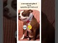 #youtube#viralshort#youtubeshorts#funnyvideo##koi#fayda#nhi#hua🥺🥺💀