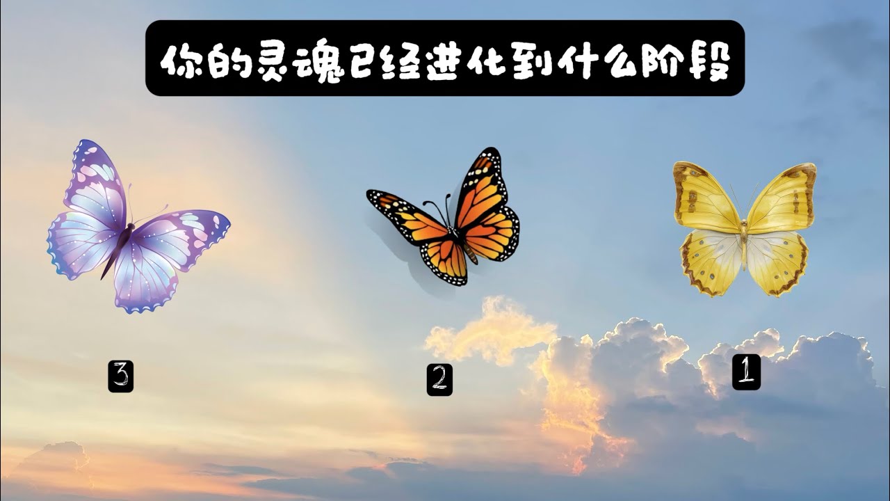 你的灵魂成长到什么阶段 & 片尾附带天使卡指引讯息 