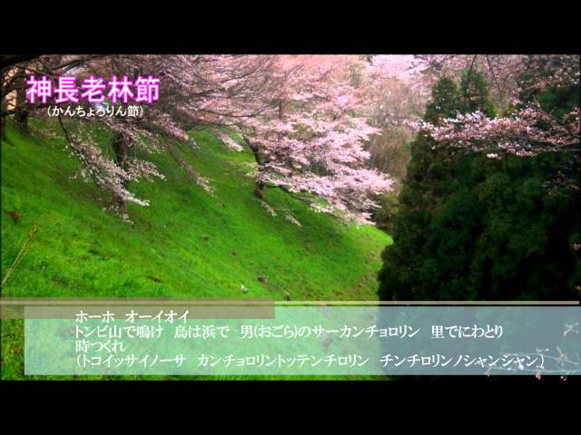かんちょろりん節盆地の茶目爺