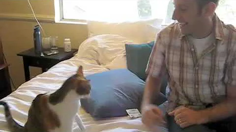Best Friends