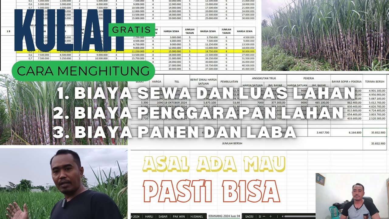 Cara Menghitung Harga Sewa dan Luas Lahan Tebu serta Biaya Tanam sampai Hasil Panen