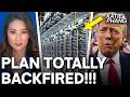 Trump Makes FATAL MISTAKE Backing SHOCKING Project!!