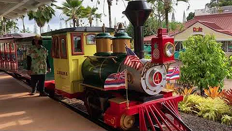 Go Walking!  Dole Plantation Pineapple Express Train Tour on Oahu Hawaii