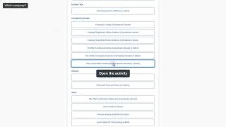 DIY Accounting Submit: start a company's confirmation statement