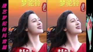 唐藝(Tang Yi)演唱《夢駝鈴》(Dreams of Camel Bells) , 因熱愛音樂, 熱愛生活, 因為愛所以堅持!!!