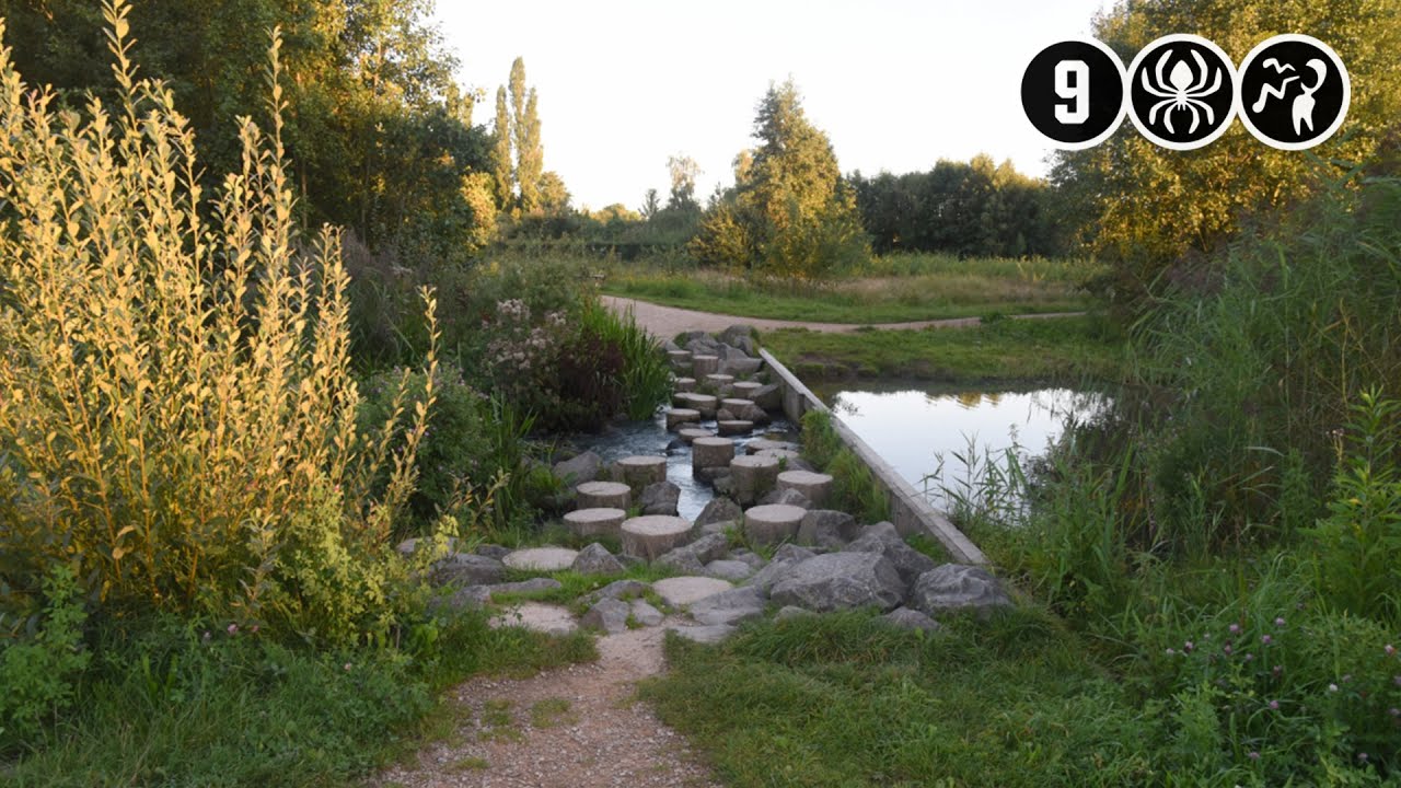 Getuigenoproep omtrent ernstig zedendelict