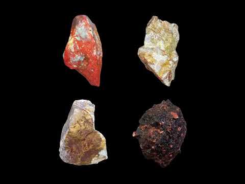 03. Babasonicos - El líder | SHAMBALA